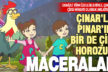 Denizli ve ilçelerinin çizgi hikayeleri bu projede: Şehrim Denizli