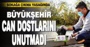 Büyükşehir can dostları unutmadı