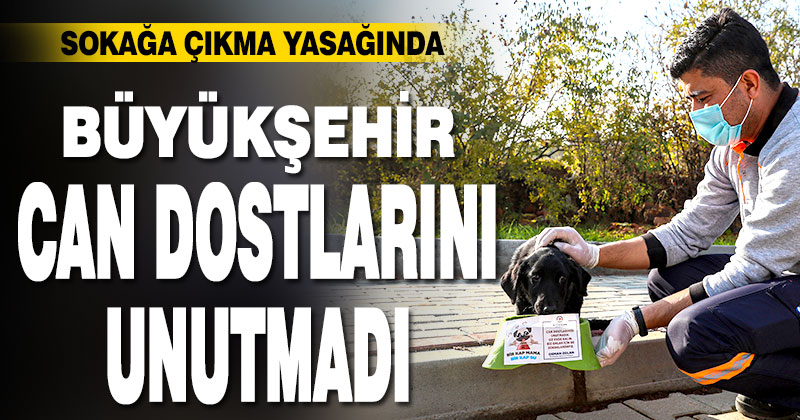 Büyükşehir can dostları unutmadı