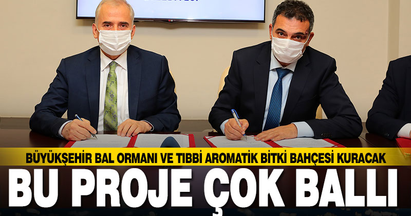 Büyükşehir’den bal ormanı ve aromatik bitki bahçesi projesi
