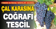 Denizli’nin Çal karası üzümüne coğrafi işaret tescili