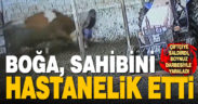 Denizli’de boğanın saldırdığı çiftçi yaralandı