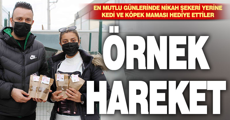 Hayvansever çift nikah şekeri yerine, kedi ve köpek maması dağıttı