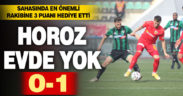 Denizlispor 0 – HES Kablo Kayserispor 1