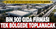 Gıda firmaları ihtisas organize sanayi bölgesinde toplanacak