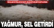 Çameli ve Acıpayam bölgesinde yağmur, taşkınlara sebep oldu