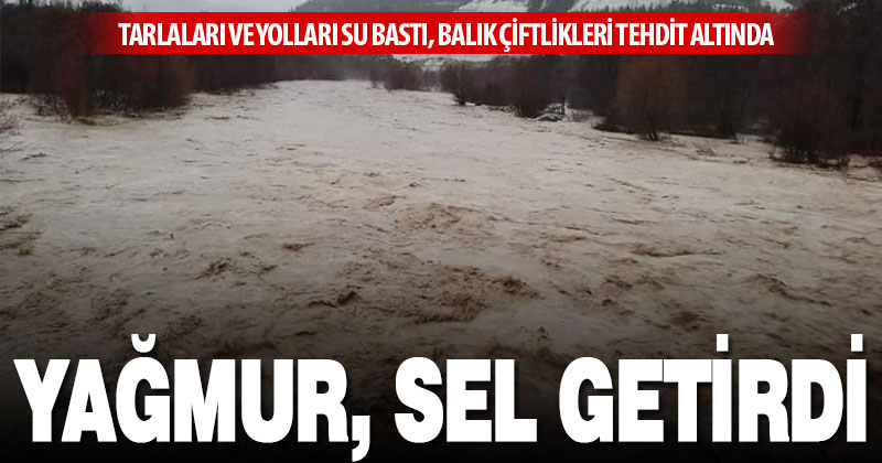 Çameli ve Acıpayam bölgesinde yağmur, taşkınlara sebep oldu