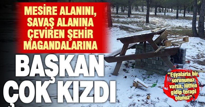 Mesire alanına verilen zarar Bozkurt Belediye Başkanı Birsen Çelik’i çileden çıkardı