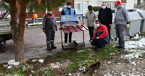 Sokaktaki canları sevindiren çalışma