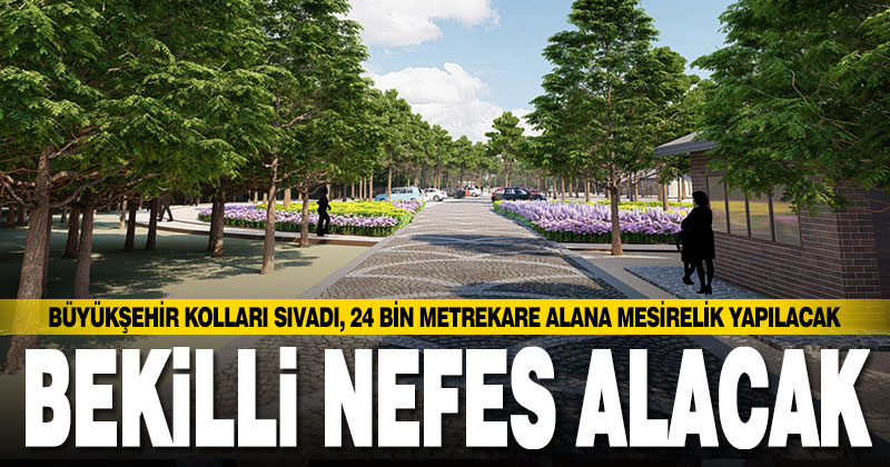 Büyükşehir Bekilli’ye 24 bin metrekarelik mesirelik yapacak
