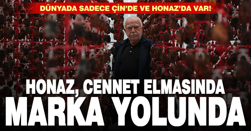 Honaz cennet elmasında marka oluyor