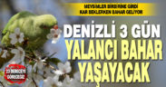 Denizli kar beklerken yalancı bahar yaşayacak. Sıcaklık 23 dereceye çıkıyor
