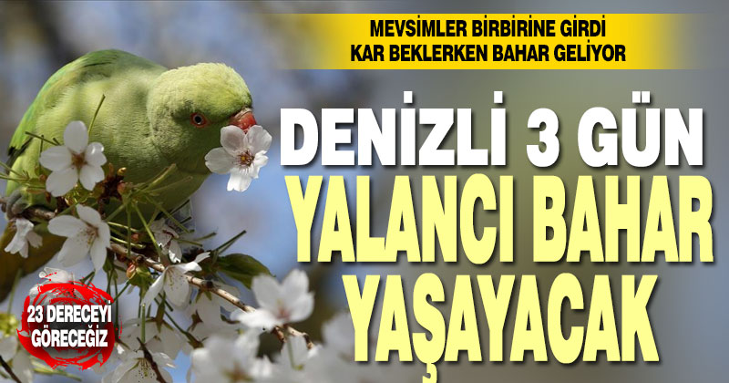Denizli kar beklerken yalancı bahar yaşayacak. Sıcaklık 23 dereceye çıkıyor