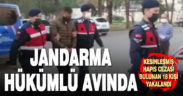 Jandarma kesinleşmiş hapis cezası bulunan 18 hükümlüyü yakaladı