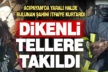 Dikenli tellere takılan şahini itfaiye kurtardı