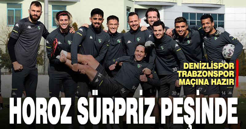 Denizlispor, Trabzonspor maçına hazır