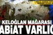Keloğlan Mağarası koruma altına alındı
