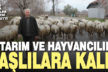 Artık köylerde sadece ihtiyarlar var, tarımda üretecek adam kalmadı