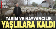 Artık köylerde sadece ihtiyarlar var, tarımda üretecek adam kalmadı