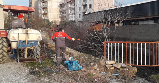 Buldan’da larva ilaçlaması başladı