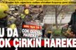 Kuşlar için ağaca asılan elmaları koparıp yere attılar