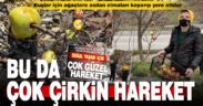 Kuşlar için ağaca asılan elmaları koparıp yere attılar