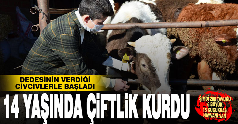 Civciv besleyerek başladı, 14 yaşında çiftlik kurdu