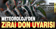 Meteoroloji’den zirai don uyarısı
