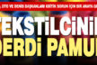 Tekstilcinin derdi pamuk