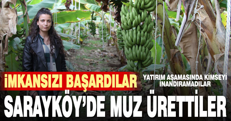Denizli’de muz üretti kimseyi inandıramadı
