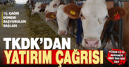TKDK 10. çağrı dönemi başvuruları başladı