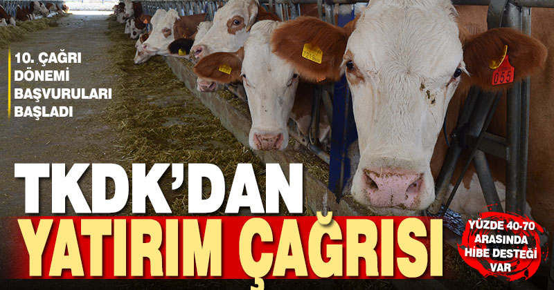TKDK 10. çağrı dönemi başvuruları başladı