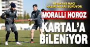 Denizlispor, Beşiktaş maçına hazırlanıyor