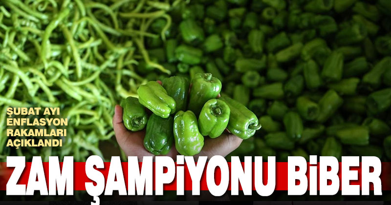 TÜİK enflasyon rakamlarını açıkladı. Zam şampiyonu biber