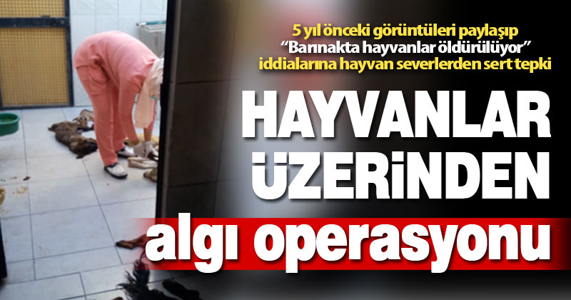 Sosyal medyada algı operasyonuna hayvan severlerden sert tepki