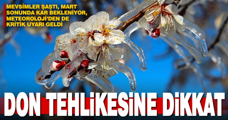 Meteoroloji’den zirai don uyarısı