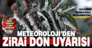 Meteoroloji’den zirai don uyarısı