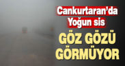 Cankurtaran’da yoğun sis ulaşımı aksattı