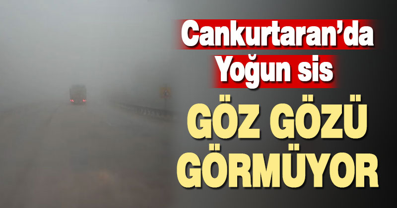 Cankurtaran’da yoğun sis ulaşımı aksattı