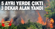 Denizli’de çıkan orman yangınında 3 dekar alan zarar gördü