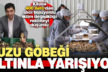 Kuzu Göbeği altınla yarışıyor