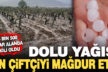 Dolu yağışında 16 bin 500 dekar alan zarar gördü, bin çiftçi mağdur oldu