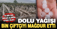 Dolu yağışında 16 bin 500 dekar alan zarar gördü, bin çiftçi mağdur oldu