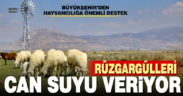Büyükşehir’den üreticilere rüzgar gülü desteği