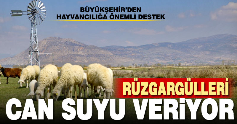 Büyükşehir’den üreticilere rüzgar gülü desteği