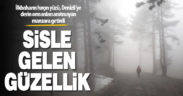 Sis altındaki Bağbaşı Yaylasının enfes fotoğrafları