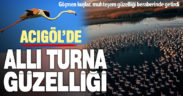 Acıgöl, göçmen kuş flamingoların güzelliğine büründü