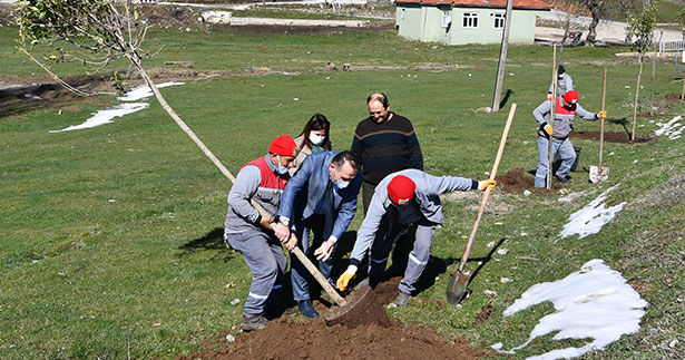 Hibe fidanlar Buldan’da toprakla buluşuyor
