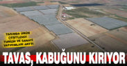 Tavas, tarım, turizm ve sanayide kabuk değiştiriyor