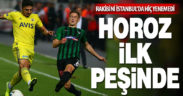 Fenerbahçe ile Denizlispor 42. Randevuda
